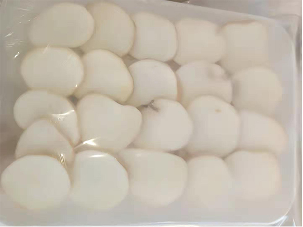 冻干天麻