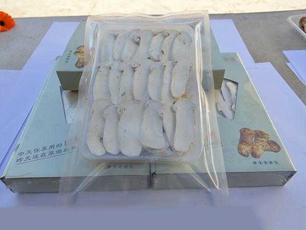冻干松茸片