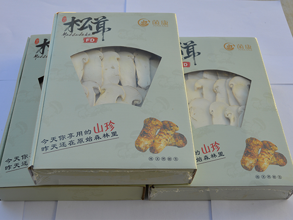 冻干松茸片