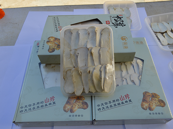 冻干松茸片