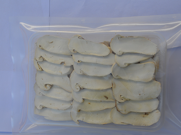 冻干松茸片
