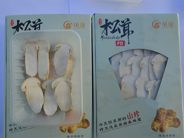 冻干松茸片