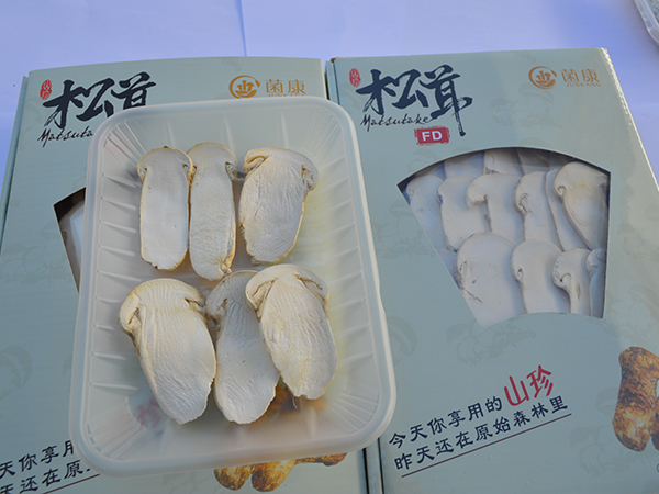 冻干松茸片