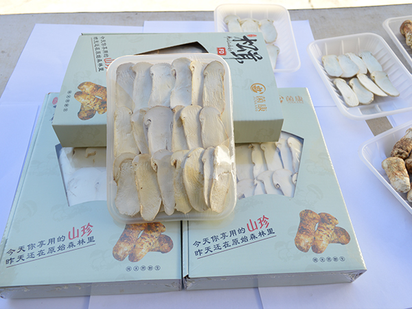 冻干松茸片