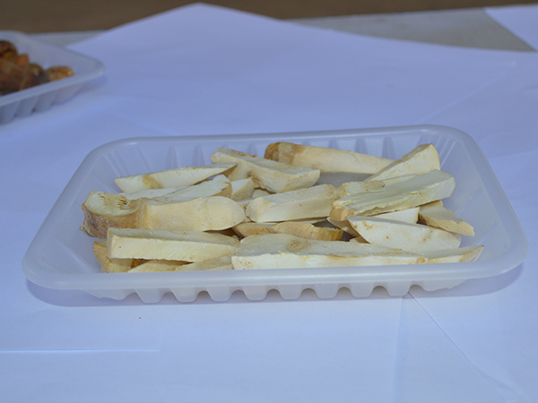 冻干松茸片
