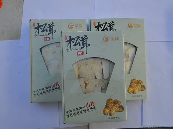 冻干松茸片