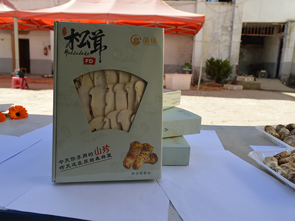 冻干松茸片