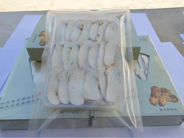 冻干松茸片