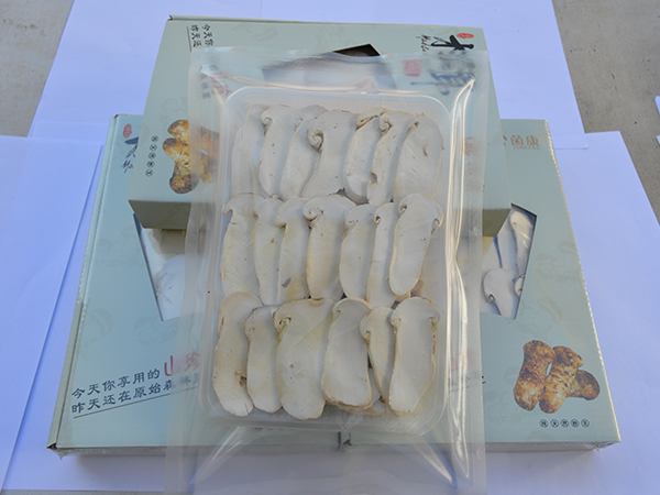 冻干松茸片