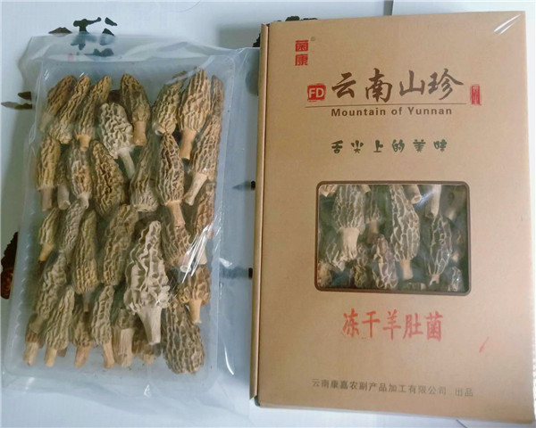 冻干羊肚菌（20克装）