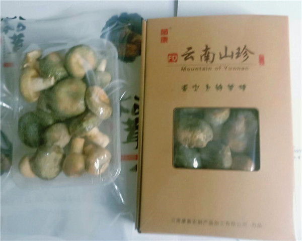 冻干野生青头菌（20克装）
