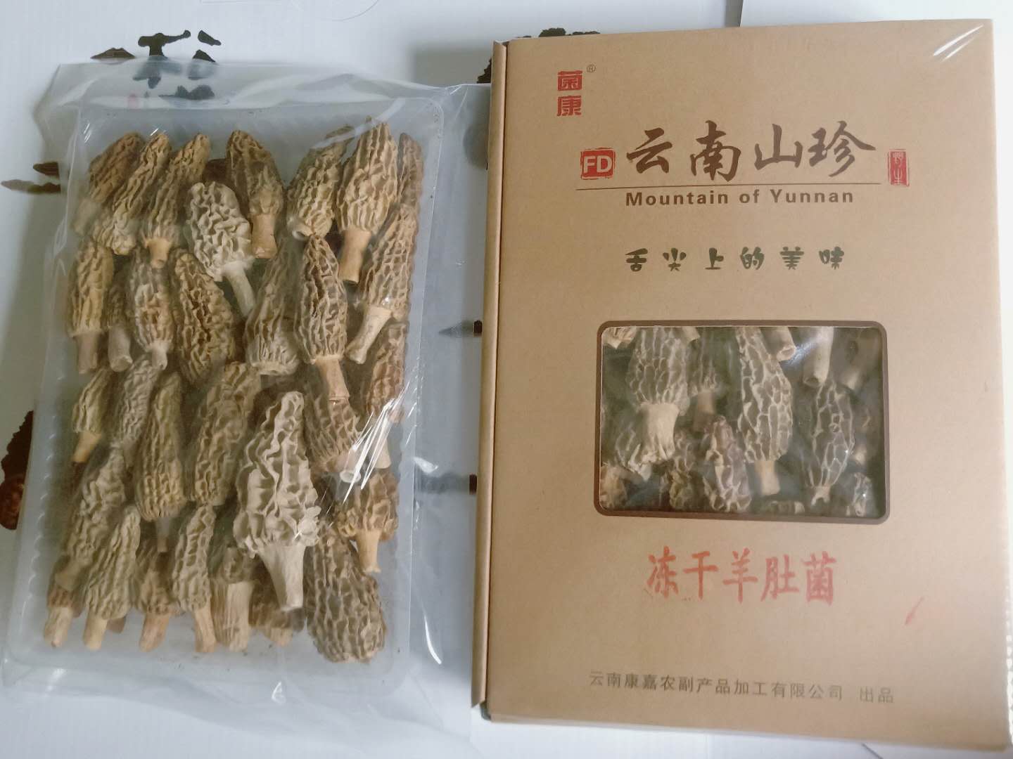 冻干牛肚菌