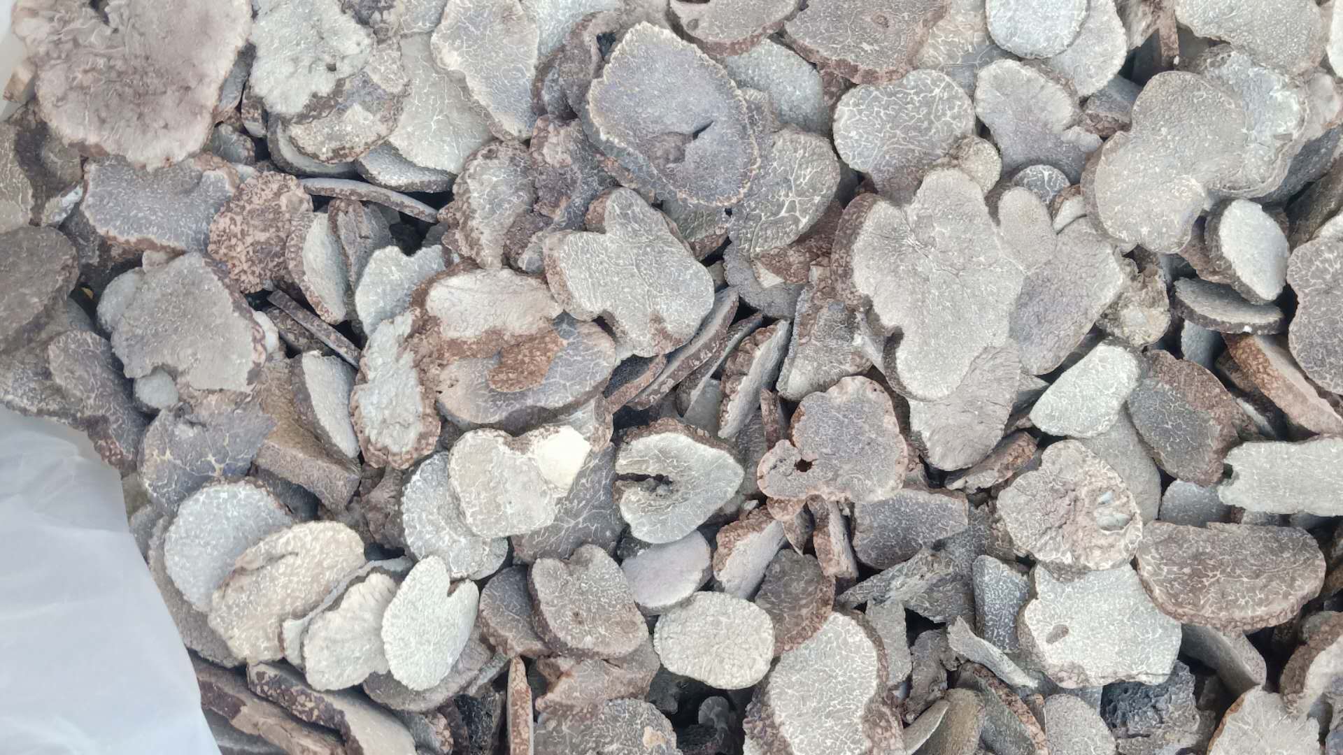 冻干黑松露片