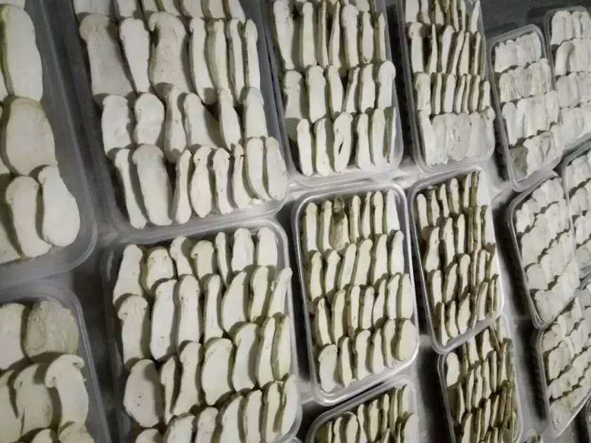 冻干松茸