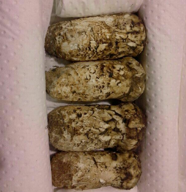 精品鲜松茸M